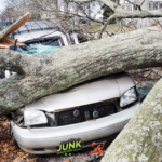 tree removal naples fl