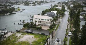 tropical storm debby naples fl debris removal