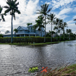 hurricane helene debris removal